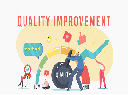 quality auditing